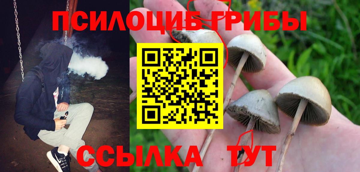 Псилоцибиновые грибы Cubensis Железноводск
