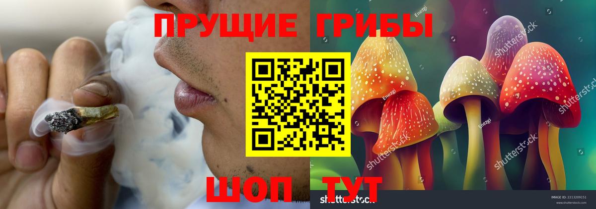 Псилоцибиновые грибы Psilocybine cubensis  Псилоцибиновые грибы мухоморы  Железноводск  Вход с VPN 
